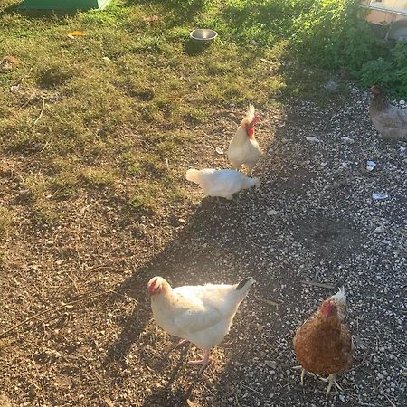 Logement Independant Le Poulailler Proche Guedelon Treigny Luaran gambar