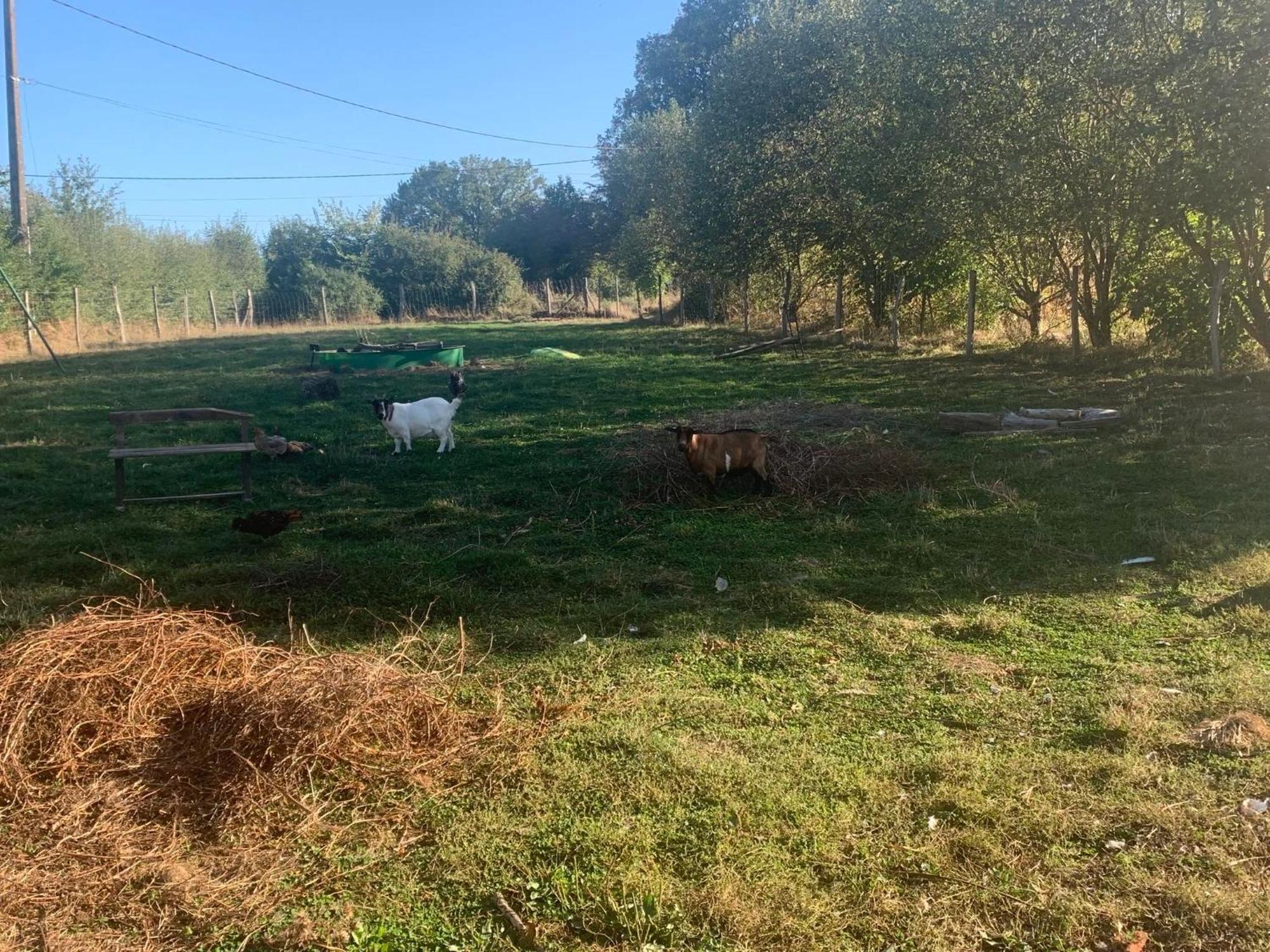 Logement Independant Le Poulailler Proche Guedelon Treigny Luaran gambar